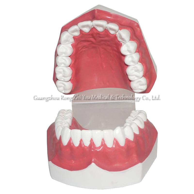 Dental Care Teeth