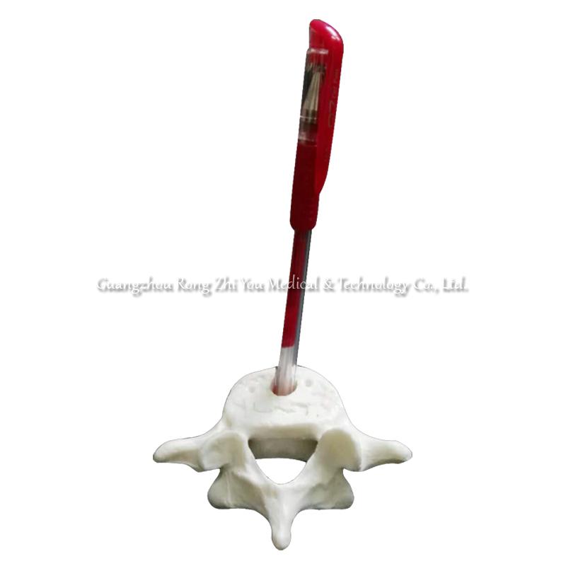 Lumbar Vertebrae Penholder