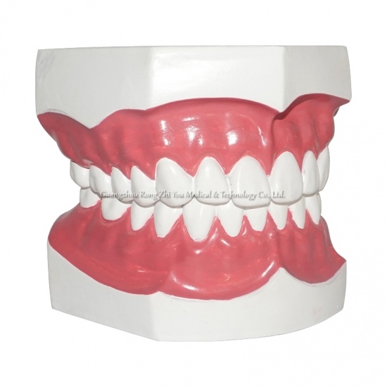 Dental Care Teeth