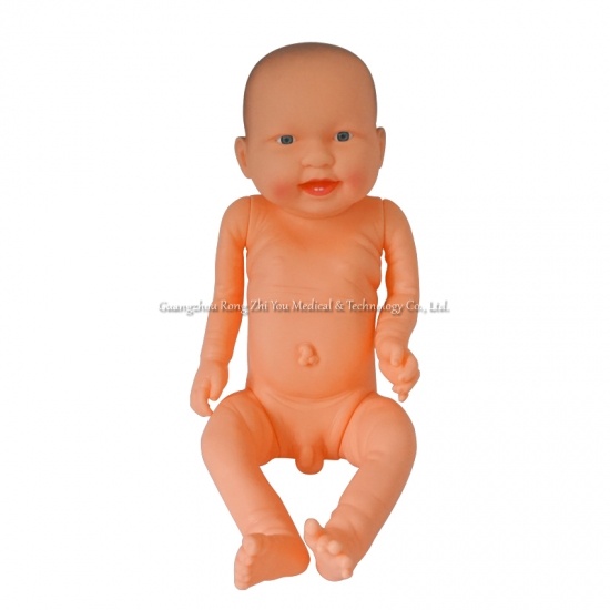  Infant Model