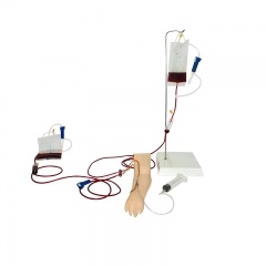 Injection Training Arm