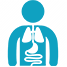 Torso Model