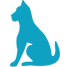 Veterinary Model